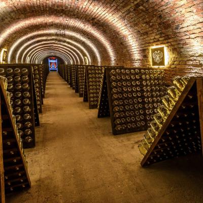 Producteurs de Champagne